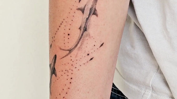 Shark Tattoo